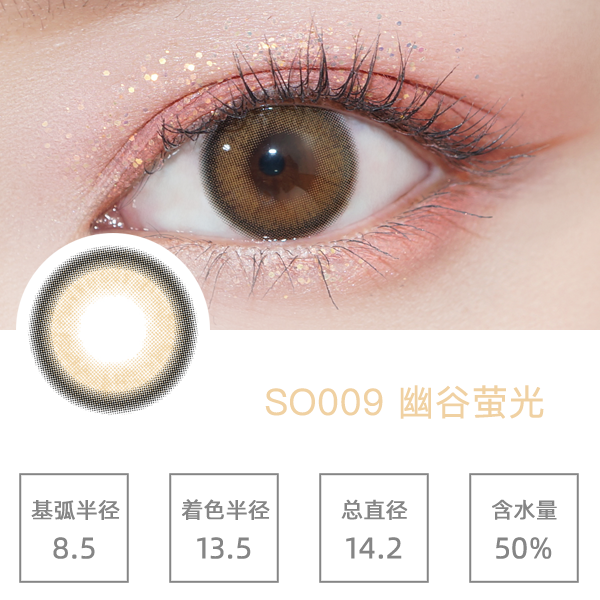 SO009�Ĺ�ӫ��