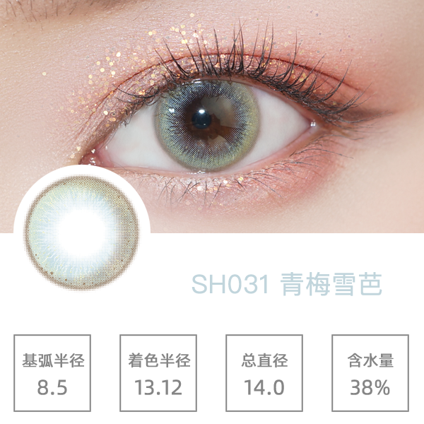 SH031��÷ѩ��