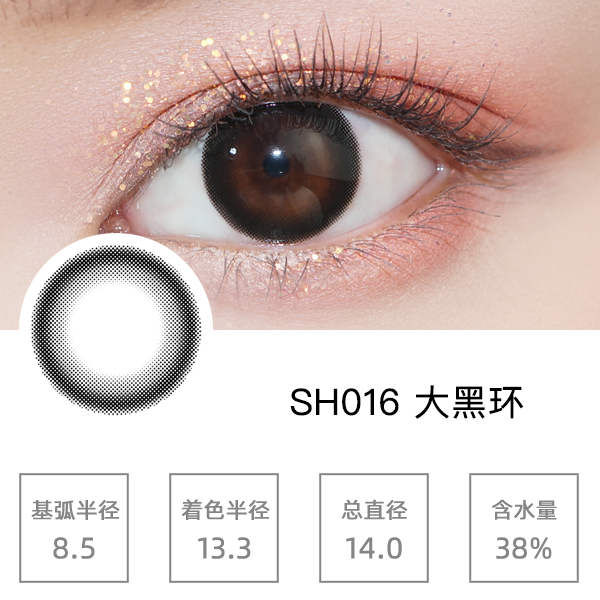 SH016��ڻ�