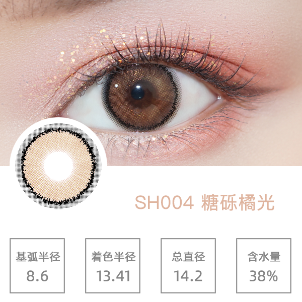 SH004�����ٹ�