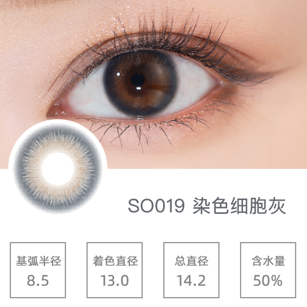SO019Ⱦɫϸ����