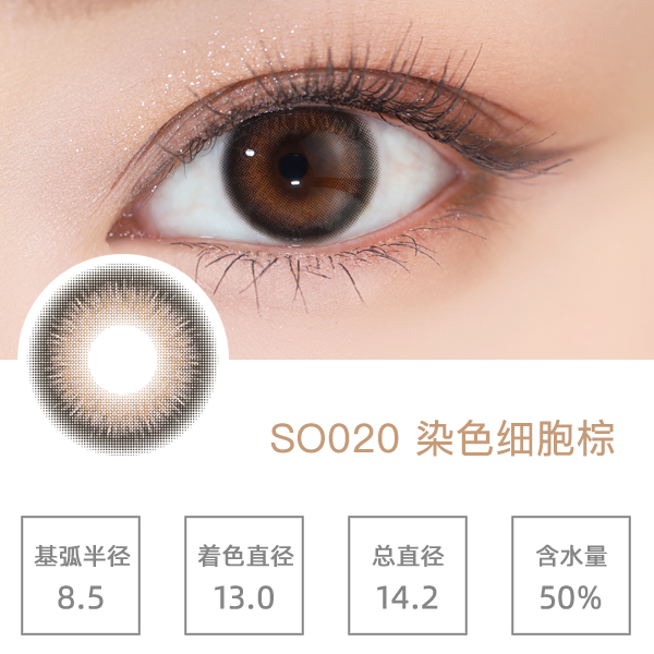 SO020Ⱦɫϸ����