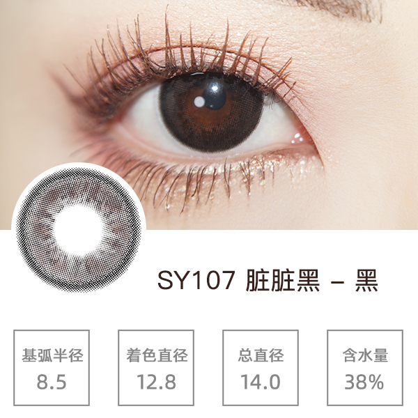 SY107�����