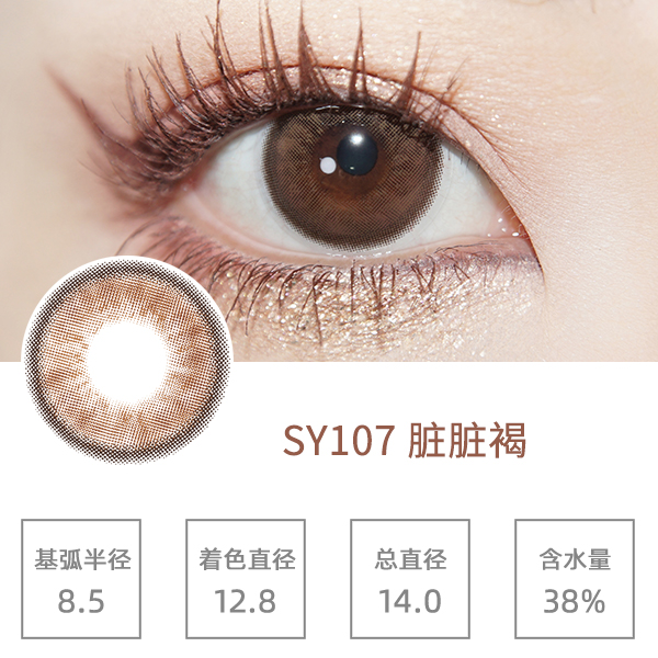 SY107�����
