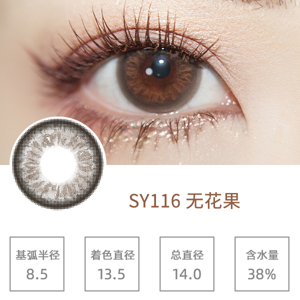 SY116�޻���