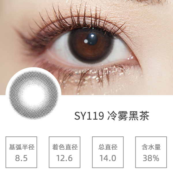 SY119�����ڲ�