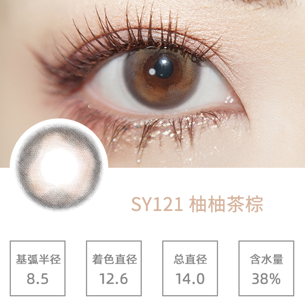 SY121���ֲ���
