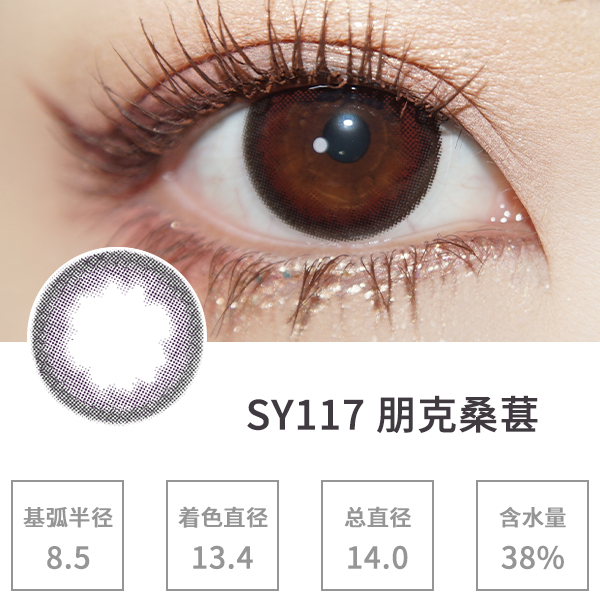 SY117���ɣ��