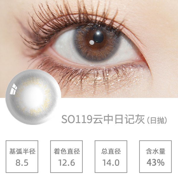 SO119�����ռǻ� 
